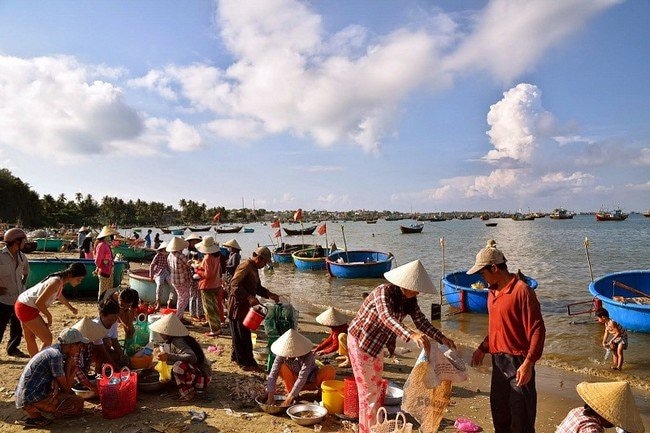 Phiên chợ sáng ở làng chài Mũi Né là nơi mọi giác quan được đánh thức